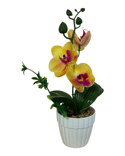 Ghiveci Orhidee color 25cm