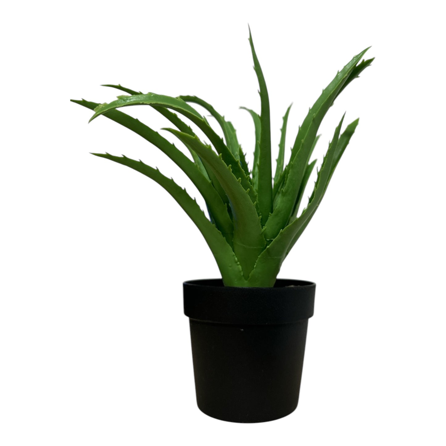 Ghiveci ornamental Aloe