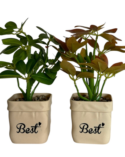 Ghiveci Plante verzi Best 25cm 801-10