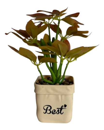 Ghiveci Plante verzi Best 25cm 801-10