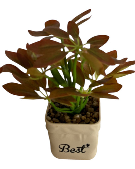Ghiveci Plante verzi Best 25cm 801-10