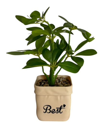 Ghiveci Plante verzi Best 25cm 801-10
