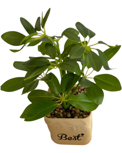 Ghiveci Plante verzi Best 25cm 801-10