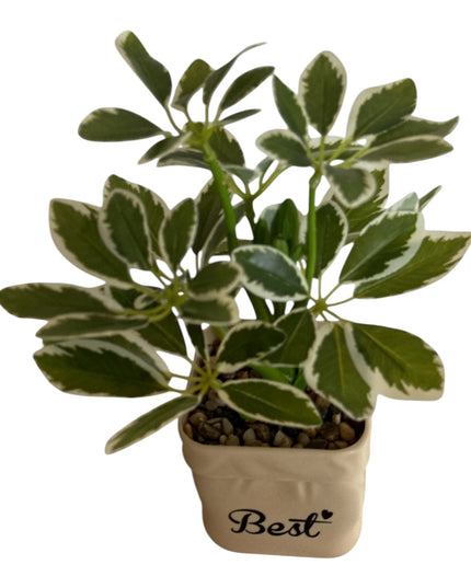 Ghiveci Plante verzi Best 25cm 801-10