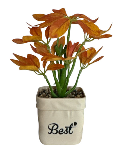 Ghiveci Plante verzi Best 25cm 801-10
