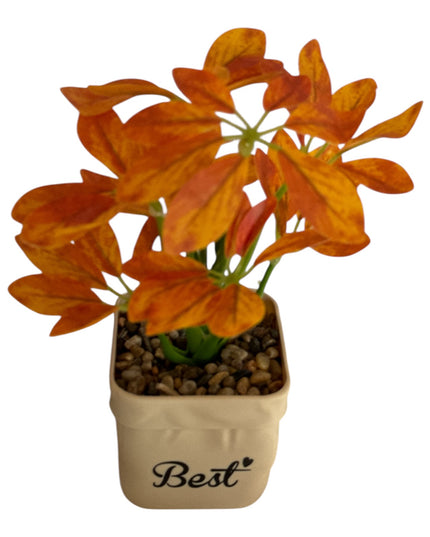 Ghiveci Plante verzi Best 25cm 801-10