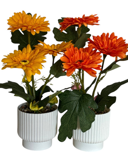 Ghiveci ornamental Gerbera 32cm 092-2