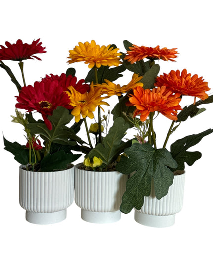 Ghiveci ornamental Gerbera 32cm 092-2