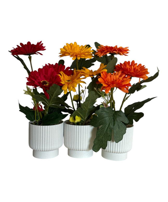 Ghiveci ornamental Gerbera 32cm 092-2