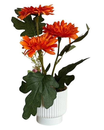 Ghiveci ornamental Gerbera 32cm 092-2