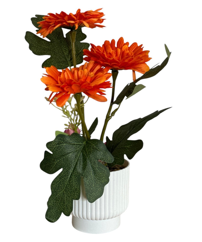Ghiveci ornamental Gerbera 32cm 092-2