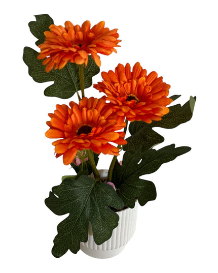 Ghiveci ornamental Gerbera 32cm 092-2
