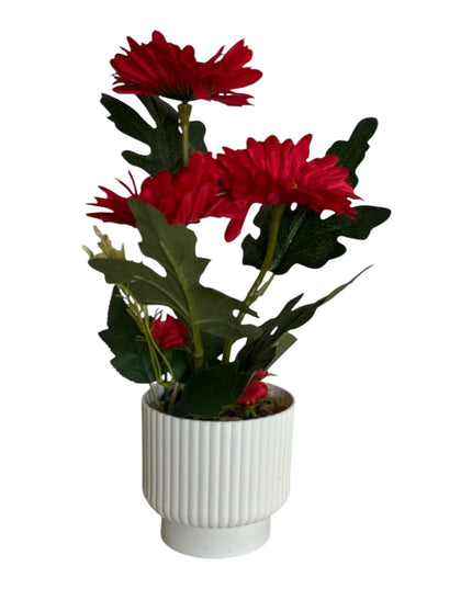 Ghiveci ornamental Gerbera 32cm 092-2