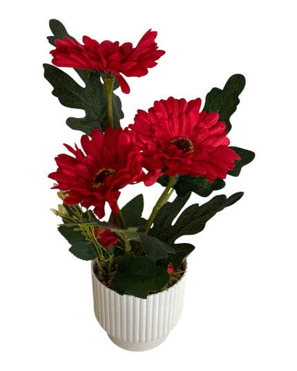 Ghiveci ornamental Gerbera 32cm 092-2