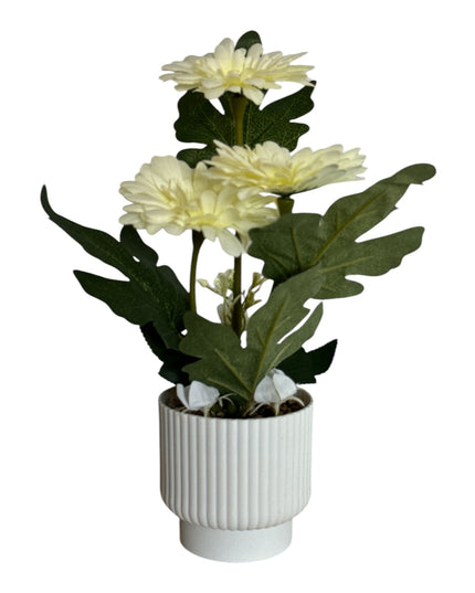 Ghiveci ornamental Gerbera 32cm 092-2