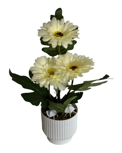 Ghiveci ornamental Gerbera 32cm 092-2