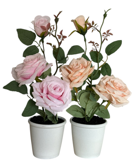 Ghiveci Trandafiri 32cm 801-3