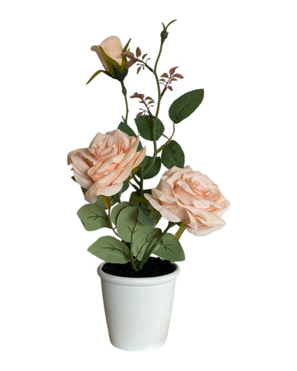 Ghiveci Trandafiri 32cm 801-3