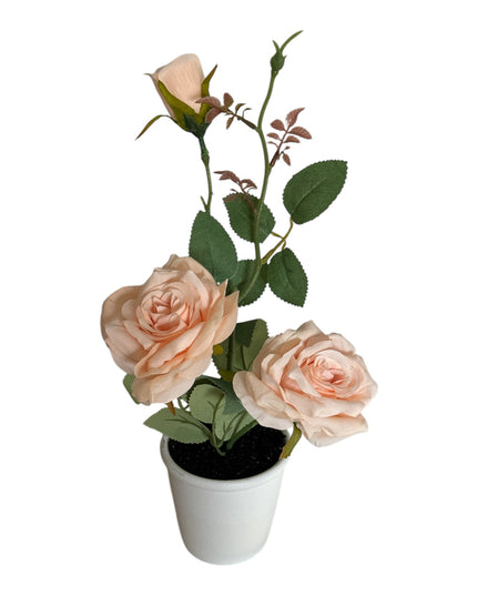 Ghiveci Trandafiri 32cm 801-3