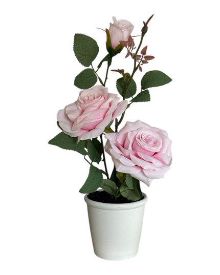 Ghiveci Trandafiri 32cm 801-3