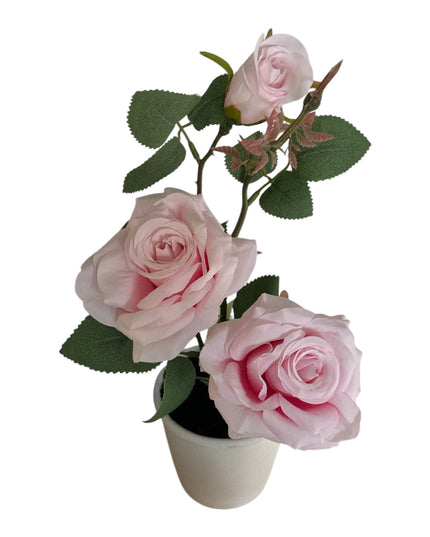 Ghiveci Trandafiri 32cm 801-3