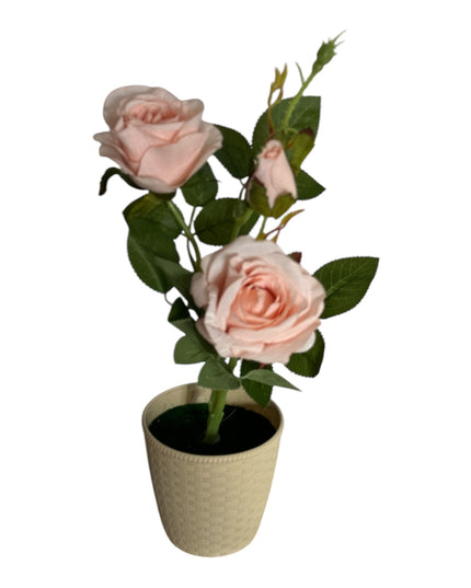 Ghiveci Trandafiri color 33cm 092-3