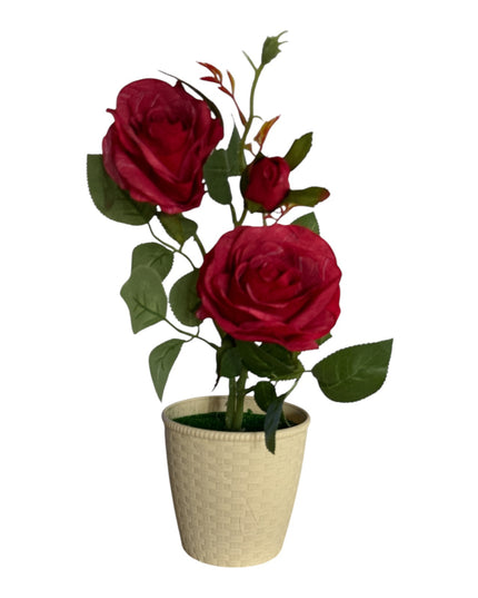 Ghiveci Trandafiri color 33cm 092-3