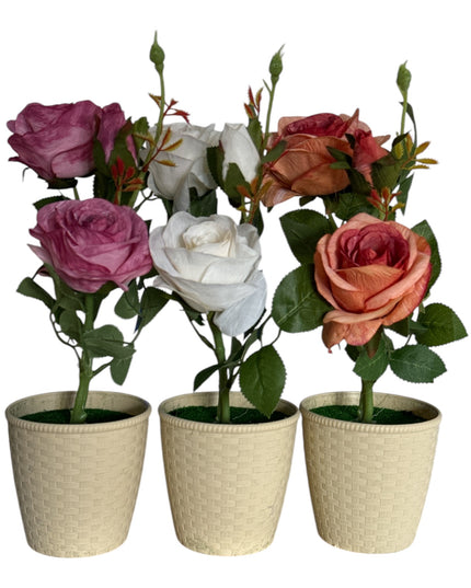 Ghiveci Trandafiri color 33cm 092-3