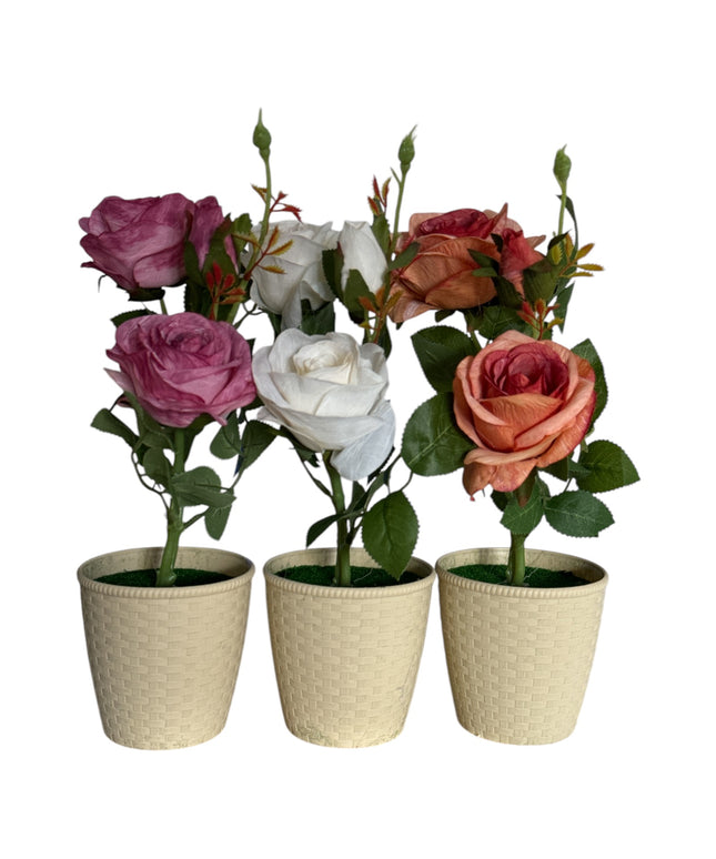Ghiveci Trandafiri color 33cm 092-3