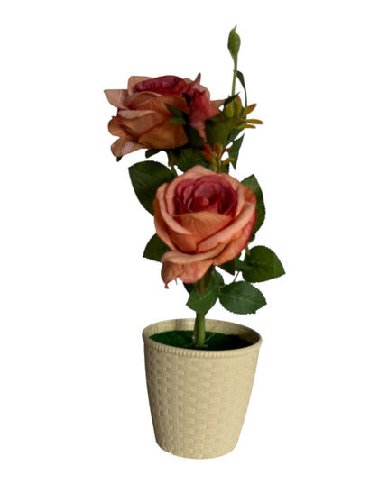 Ghiveci Trandafiri color 33cm 092-3