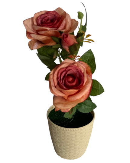Ghiveci Trandafiri color 33cm 092-3