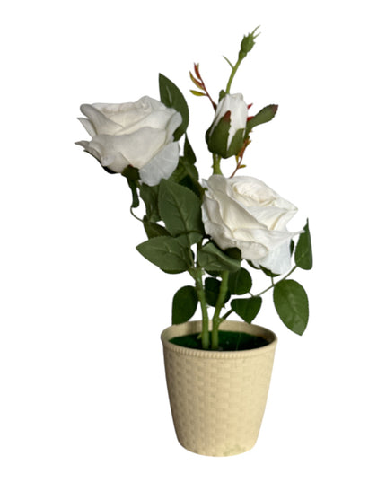Ghiveci Trandafiri color 33cm 092-3