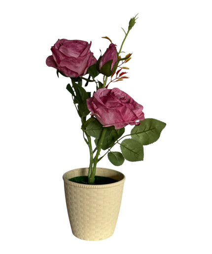 Ghiveci Trandafiri color 33cm 092-3