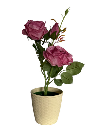 Ghiveci Trandafiri color 33cm 092-3