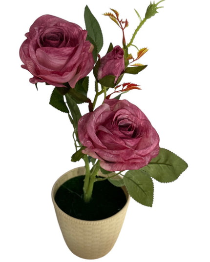Ghiveci Trandafiri color 33cm 092-3