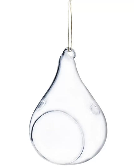 Bol sticlă Terariu Pară 16cm