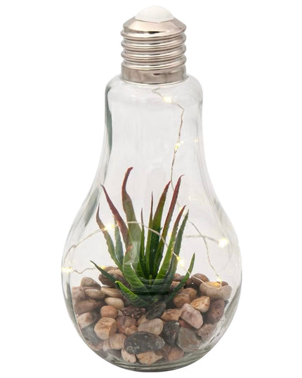 Bol sticlă Terariu Bec 13cm