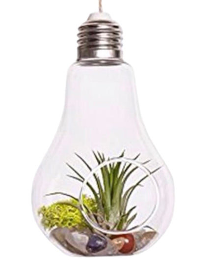 Bol sticlă Terariu Bec 13cm