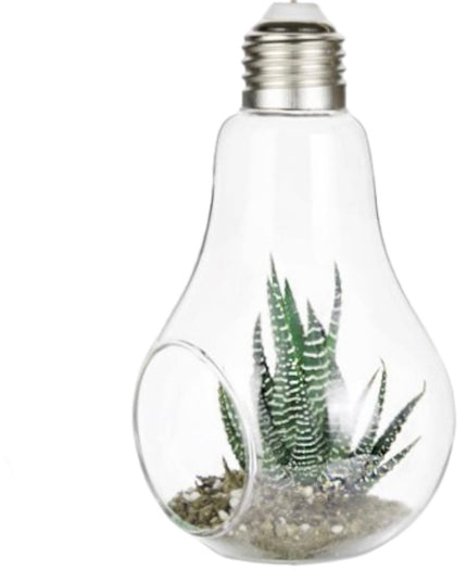 Bol sticlă Terariu Bec 13cm