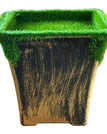 Auriu