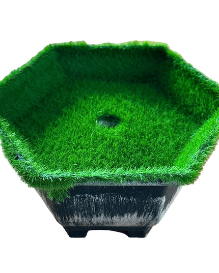 Ghiveci plin pentru aranjament Hexagon 11cm