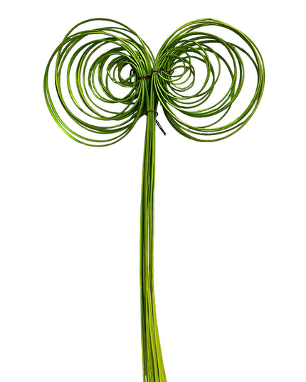 Bețe ondulate coarne 10/set 70cm