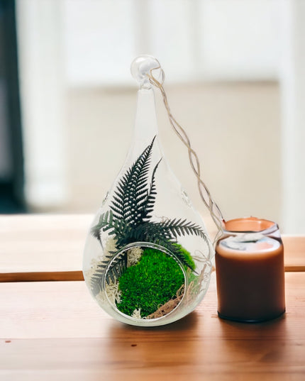 Bol sticlă Terariu pară 19cm