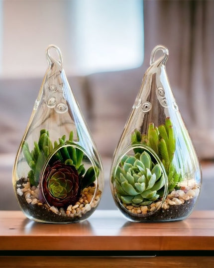 Bol sticlă Terariu Pară 16cm