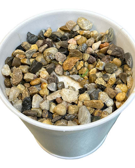 Ghiveci plin pentru aranjamente florale Flowers 10cm