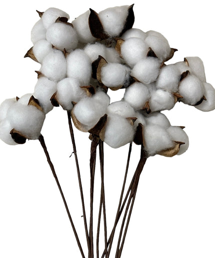 Fir de Bumbac alb 10/set 30cm