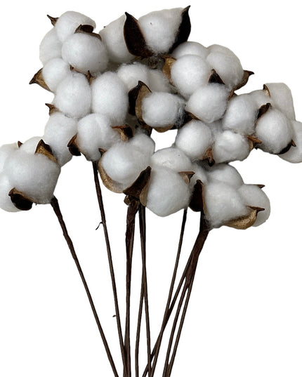 Fir de Bumbac alb 10/set 30cm