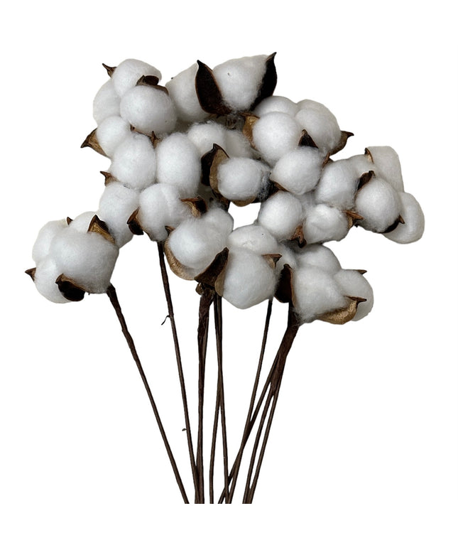 Fir de Bumbac alb 10/set 30cm