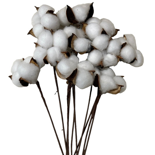 Fir de Bumbac alb 10/set 30cm