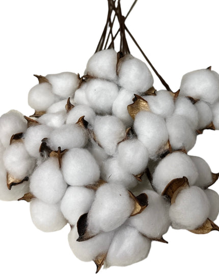 Fir de Bumbac alb 10/set 30cm